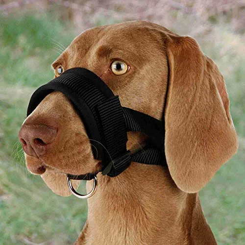 TRIXIE Bozal Lazo Nylon, Entrenamiento, L-XL Negro, Perro