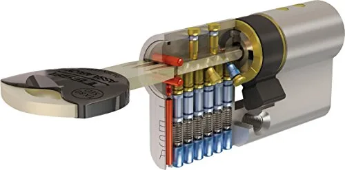 Tesa Assa Abloy TX80 TX853030N - Cilindro de Alta Seguridad, Doble Embrague, Leva Larga, Llave, Niquelado, 30 x 30 mm