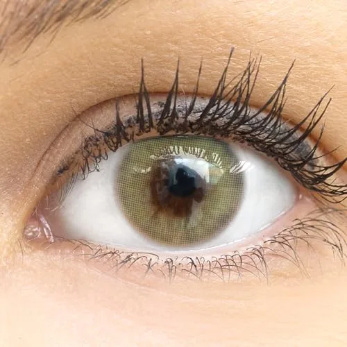 GLAMLENS lentillas de colores verdes Jasmine Light Green + contenedor. 1 par (2 piezas) - 90 Días - Sin Graduación - 0.00 dioptrías - blandos - Lentes de contacto verde de hidrogel de silicona