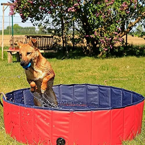 lionto Piscina plegable para perros bañera para perros piscina mascotas, Piscina para niños (S) 80 cm