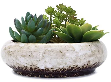 VanEnjoy Macetas Redondas Grandes de cerámica esmaltada para suculentas de 7.3 Pulgadas con Agujero de Drenaje, macetas de bonsái Decorativas para jardín, Soporte de Cactus (Blanco)