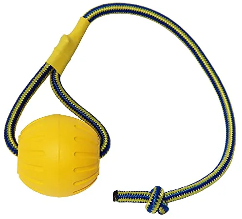 Pelota para Perro con Cuerda, Bola de Entrenamiento para Perros de Espuma, Bola Flotante para Perros, Juguete pequeño de remolcador para Perros de Gran tamaño (Bola Grande)