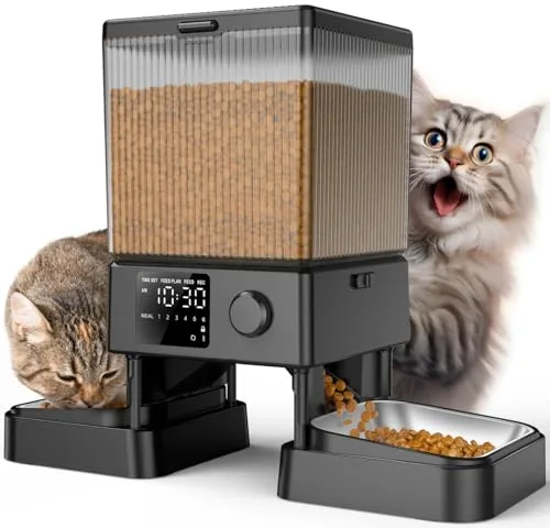 oneisall Comedero Automático para Gatos 5L, 2 Tazones, Acero Inoxidable, Grabadora de Voz, Negro