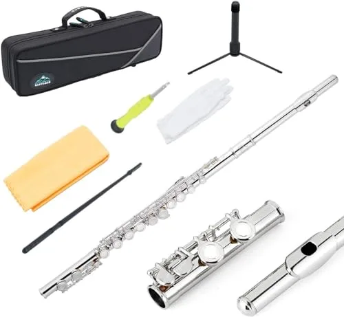 EASTROCK Flauta Travesera Plateada 16 Agujeros Cerrados con Estuche, Paño de Limpieza y Guantes para Principiantes y Profesionales
