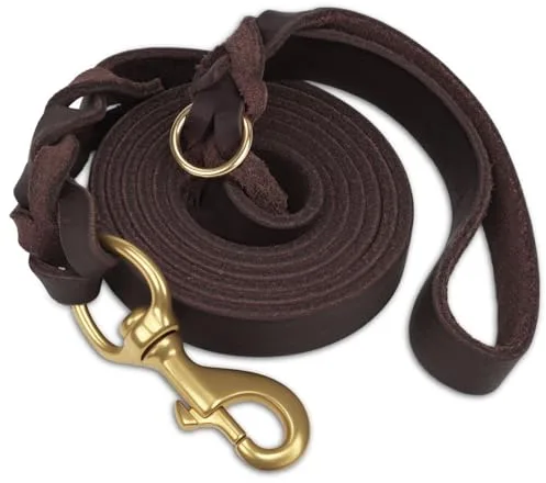 Joytale Correa Cuero Perro, Correa De Cuero Resistente para Perros con Gancho De Latón Resistente, Suave Y Duradero, Apto para Perros Pequeños Medianos Y Grandes(Marrón, 150cm×2cm)