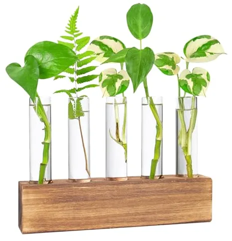 Hwtcjx Jarrón Hidropónica, Estación De Propagación para Plantas, Terrario con Soporte Madera, Florero Cristal, Jarrones Vidrio Macetas para Interior Decoración Mesa Oficina Casa Jardín (5 Botellas)