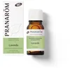 Aceite esencial lavanda
