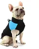Chubasquero perro pequeño