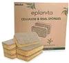 Esponja natural mar baño