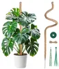 Tutor planta trepadora