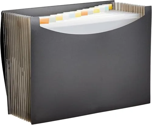 Amazon Basics Carpeta de acordeón (tamaño A4), Paquete de 1, Negra