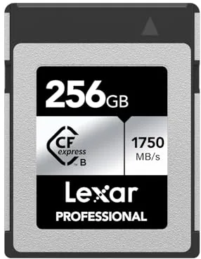 Lexar Professional Silver Series 256GB Tarjeta CFexpress Tipo B, Tarjeta CFe Lectura de hasta 1750 MB/s, Adopta PCIe Gen3x2, Tarjeta de Memoria CF Compatible con DSLR, cámara XQD (LCXEXSL256G-RNENG)