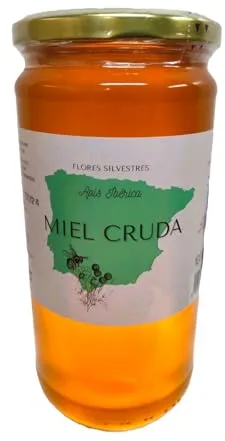 Miel Pura de Abeja-100% Origen España-Miel Cruda-1Kg-Miel Natural-Directa de Apicultor-Sin Procesar-Sin Pasteurizar. (Kg, Flores silvestres)