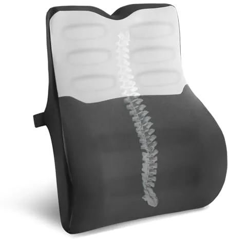 Quirlig Cojin Lumbar Coche, Cojin Lumbar Silla Oficina con Esponja Memoria, Respaldo Lumbar Ergonómico, Almohada Lumbar para Asientos de Coche, Silla de Oficina, Gris